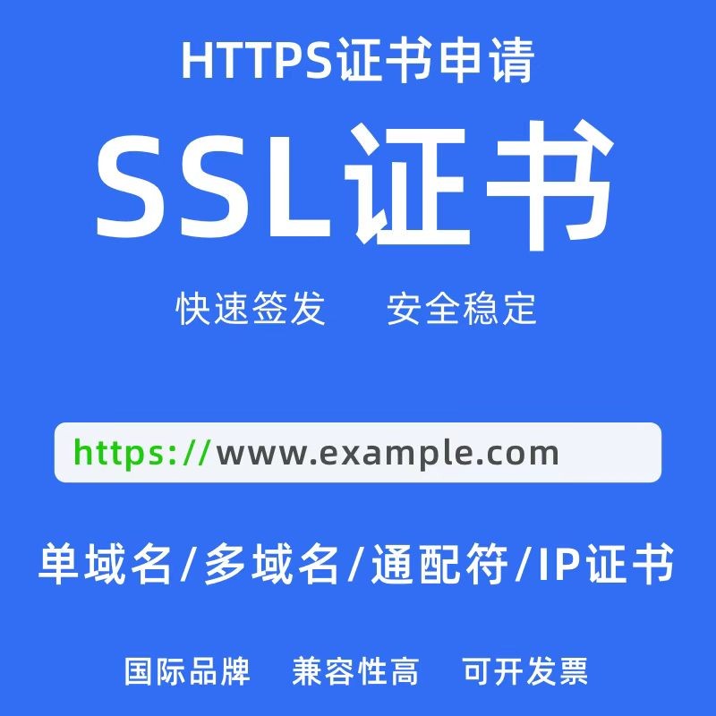 Google Public CA 90天通配符证书